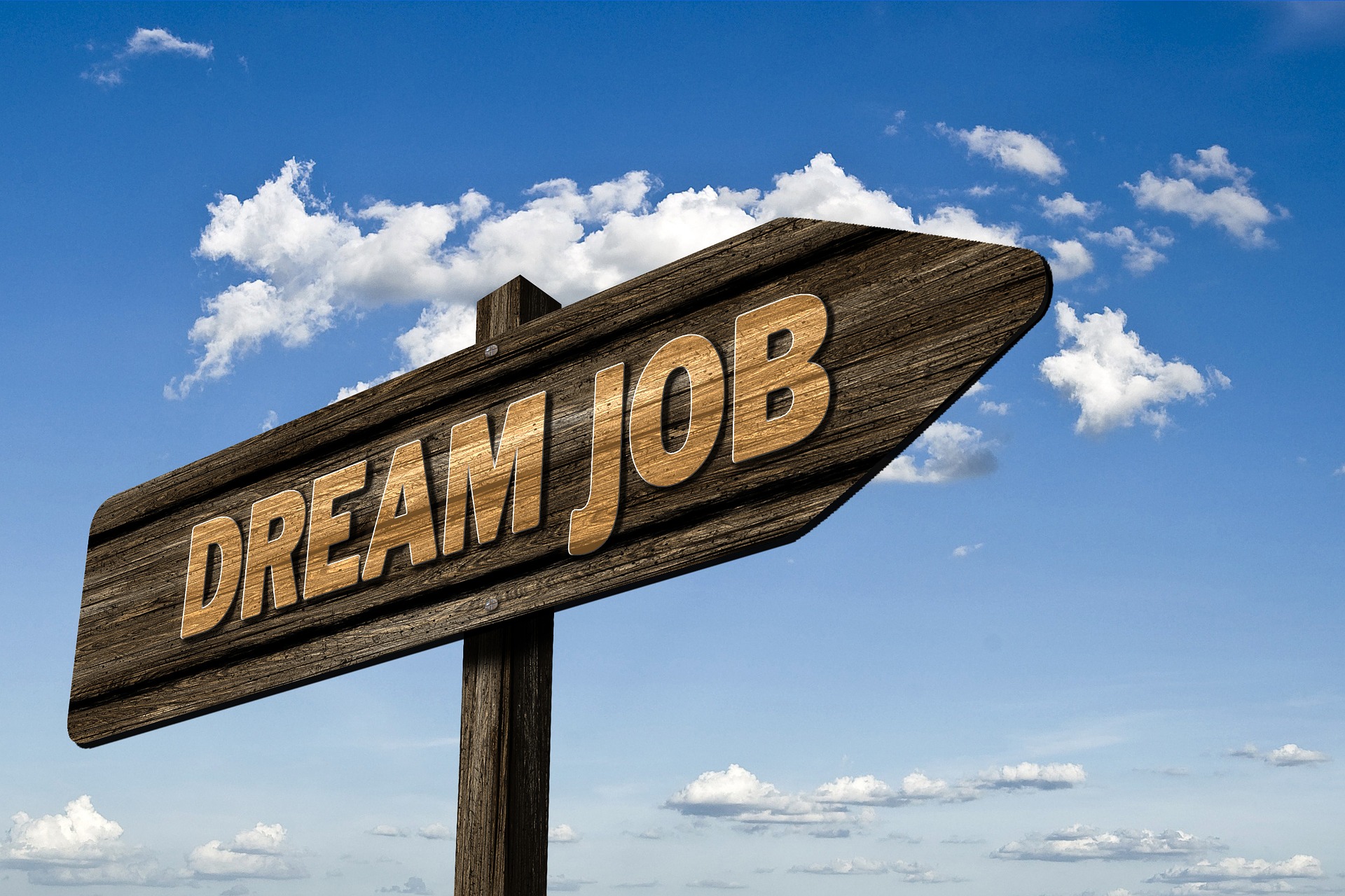 what is your dream job?